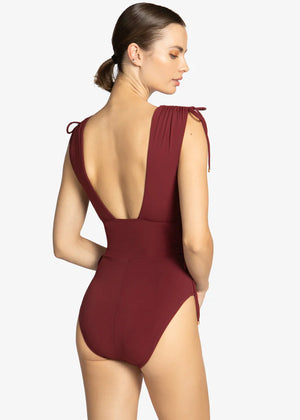 Aubrey V Plunge One Piece in Ancho - Robin Piccone